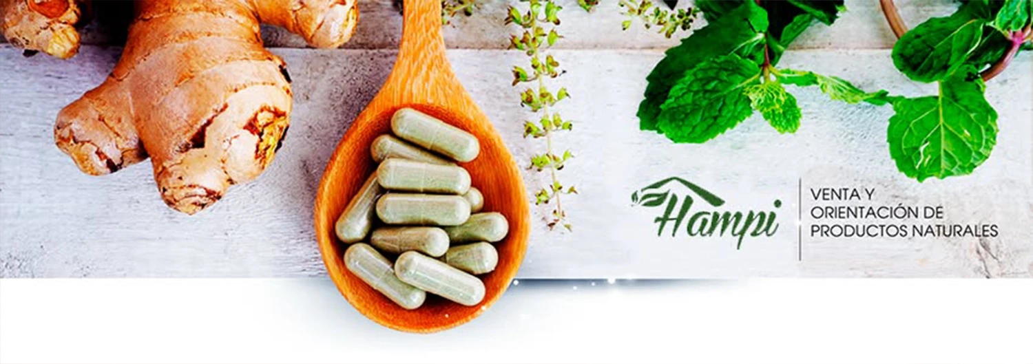 MAYORO ® banner