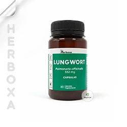 Herboxa Pulmonaria | 60 Cap Recubiertas | HERBOXA